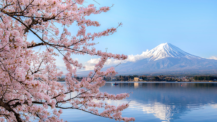 Japan Care Worker / Caregiver